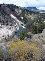 Yellowstone Tower Roosevelt (4).JPG
